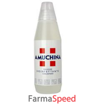 amuchina liquida1000 ml
