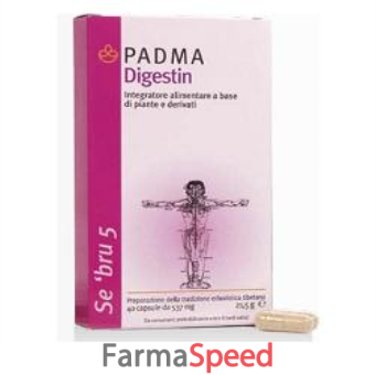 padma digestin 40 capsule