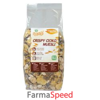 easy to go crispy cioko muesli 300 g