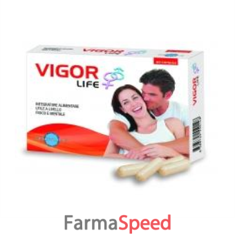 vigor life 40 capsule