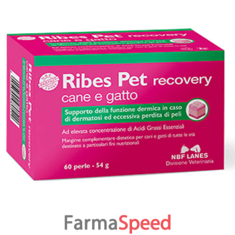 ribes pet recovery 60 perle