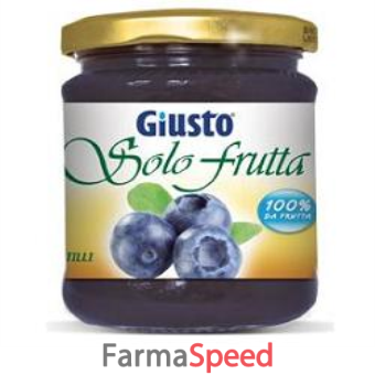 giusto solo frutta marmellata mirtilli 284 g