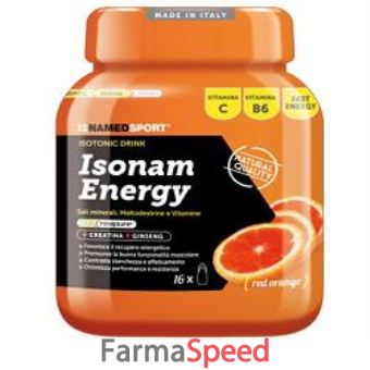 isonam energy orange polvere 480 g