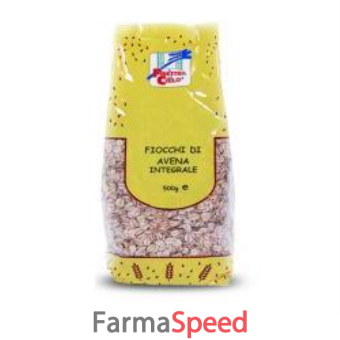 fiocchi di avena integrale bio 500 g