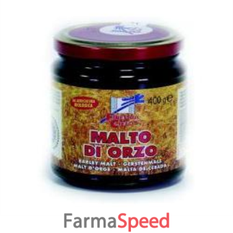 malto di orzo bio 400 g