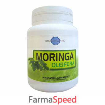 moringa oleifera 60 capsule