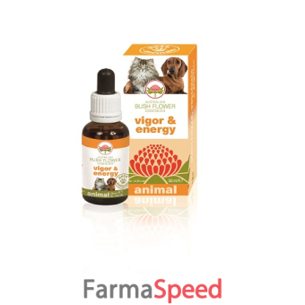 vigor & energy 30ml