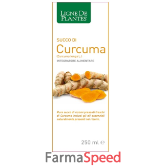 curcuma bio succo 250 ml