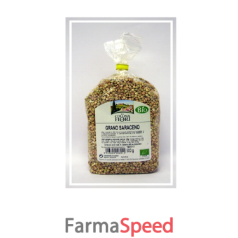 grano saraceno decorticato bio senza glutine 500 g