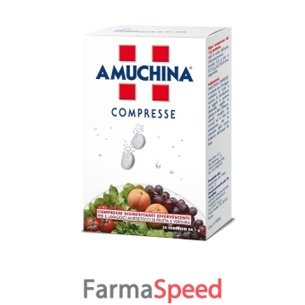 amuchina compresse 1 g 24 pezzi