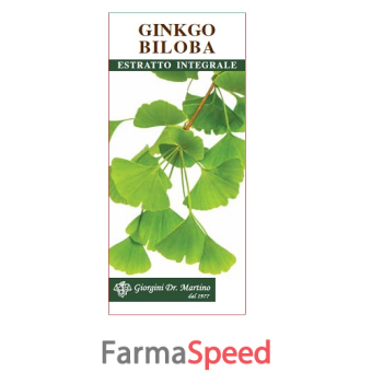 ginkgo biloba estratto integrale 200 ml