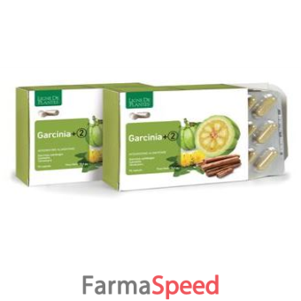 garcinia + 2 90 capsule