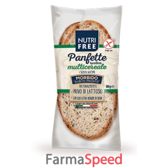 nutrifree panfette rustico 80 g