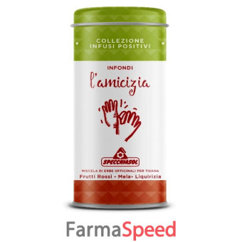 tisana infondi l'amicizia 80 g