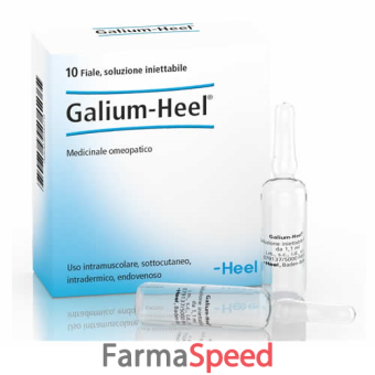 galium 10fiale 1,1ml heel