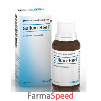 galium 30ml gocce heel