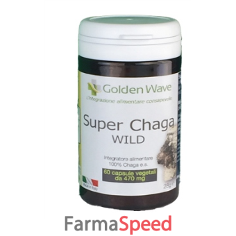 super chaga wild 60 capsule