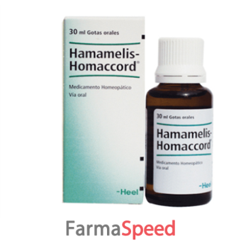 hamamelis hamaccord 30 ml gtt hell