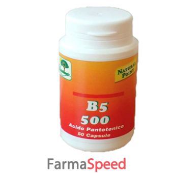 b5 500 50 capsule