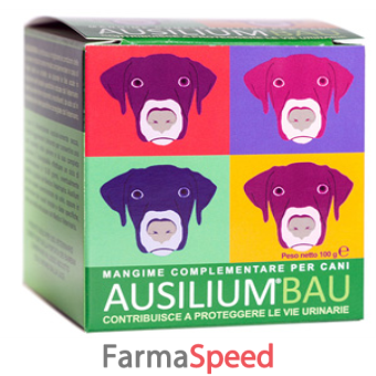 ausilium bau 100 g