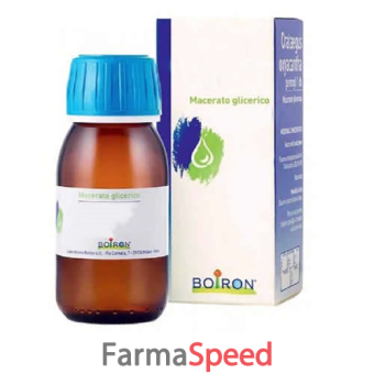 rosmarinus officinalis macerato glicerico 60 ml
