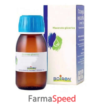 quercus pedunc 60ml mg