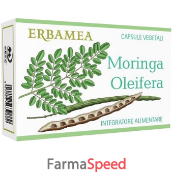 moringa oleifera 24 capsule