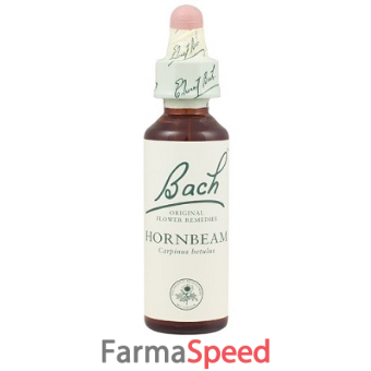 hornbeam bach original 10 ml