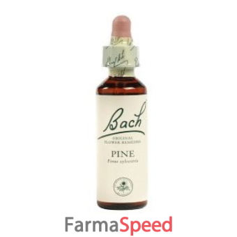 pine bach original 10 ml