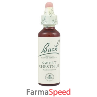 sweet chestnut bach original 10 ml