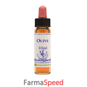 olive essenza 10 ml 
