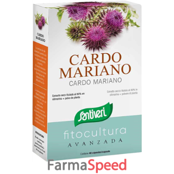 cardo mariano 40 capsule