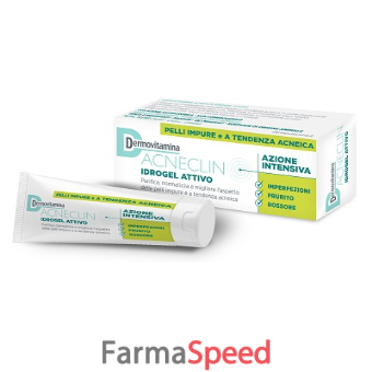 dermovitamina acneclin idrogel 40 ml