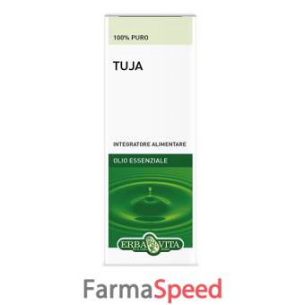 tuja olio ess 10ml fl