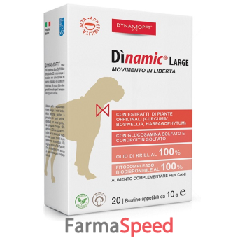 dinamic large 20 bustine 10 g