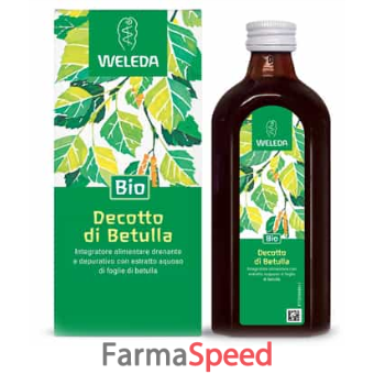 decotto di betulla 250 ml