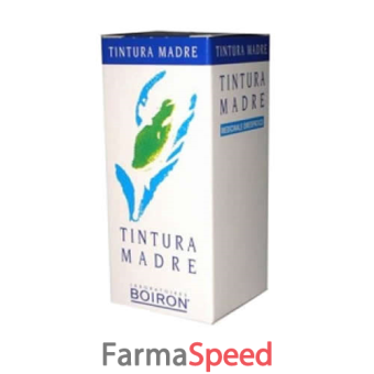 thuya occidentalis tintura madre 60 ml