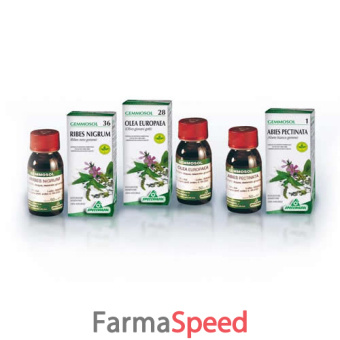 gemmosol 7 betulla pubescens 50ml