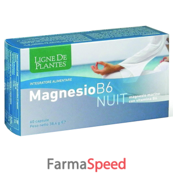 magnesio b-6 nuit 60 capsule