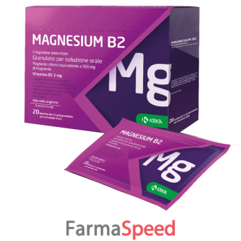 magnesium b2 300/2mg 20 bustine