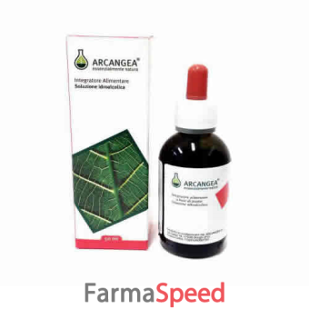 spaccapietra soluzione idroalcolica 50ml