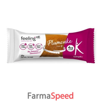 feeling ok plum cake arancia start 45 g