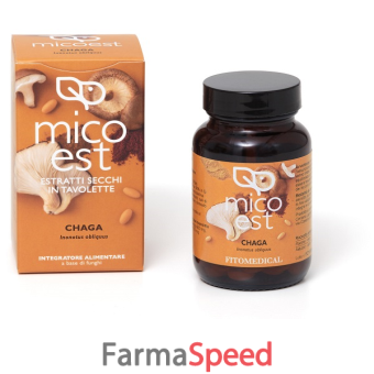 chaga estratto secco 60 tavolette