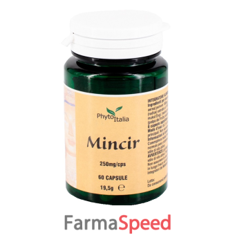 minceur ayurved 60 capsule