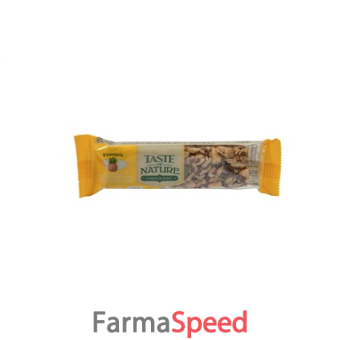 taste of nature barretta all'ananas bio 40 g