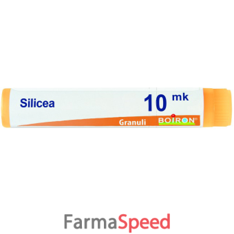 silicea xmk gl