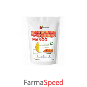 mango naturale essiccato 100 g