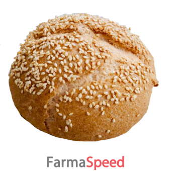 rigo' panino tipo hamburger 100 g