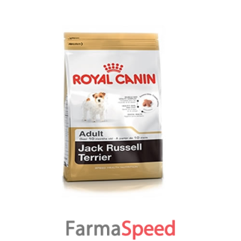 royal canin jack russell adult 1,5 kg