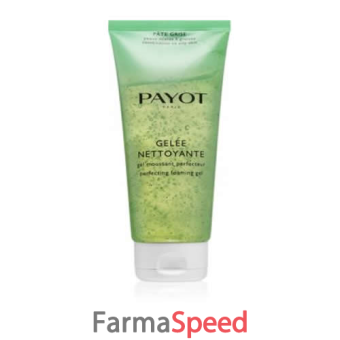 payot pate grise gelee nettoyante 200 ml